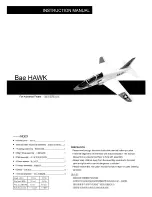 Ultrafly Bae HAWK Instruction Manual preview