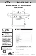 Uniflame GOLD GBC873WNG-C Owner'S Manual предпросмотр