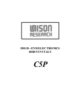 Unison Research C5P User Manual preview