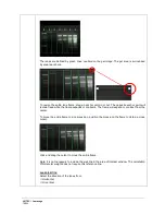 Предварительный просмотр 70 страницы UVITEC Cambridge FIREREADER MAX User & Service Manual