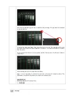 Предварительный просмотр 109 страницы UVITEC Cambridge FIREREADER MAX User & Service Manual