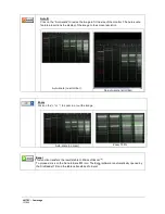 Предварительный просмотр 127 страницы UVITEC Cambridge FIREREADER MAX User & Service Manual