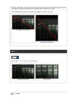 Предварительный просмотр 196 страницы UVITEC Cambridge FIREREADER MAX User & Service Manual