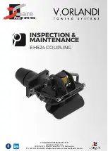 Предварительный просмотр 1 страницы V.ORLANDI EH524 PACIFIC Inspection And Maintenance Manual