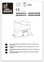 V2 ELETTRONICA GOLD120V-D Instructions Manual preview