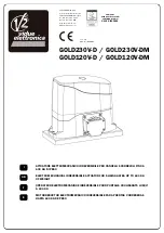 Предварительный просмотр 1 страницы V2 ELETTRONICA GOLD120V-D Instructions Manual