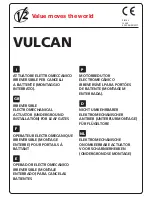 Preview for 1 page of V2 Vulcan Manual