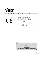 Valor 4191 Owner'S Manual предпросмотр