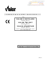 Valor COSYFLAME BR623 Installer'S Manual preview