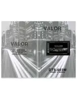 Valor DTS-603W Owner'S Manual preview