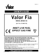 Preview for 1 page of Valor FIA BR650 VA Owner'S Manual