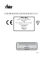 Valor Wonderfire BR419 Owner'S Manual preview