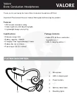 Valore BTS42 Quick Start Manual предпросмотр
