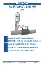 Valsir MUSTANG 160 V2 Operation And Maintenance Handbook preview