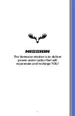 Предварительный просмотр 5 страницы Vamoose FS SUPER ODIN Owner'S Manual