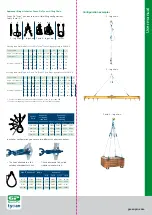 Предварительный просмотр 4 страницы Van Beest Green Pin Tycan Lifting Chain User Manual