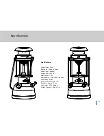 Preview for 25 page of Vapalux 300X Instruction Manual