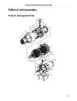 Предварительный просмотр 75 страницы Varian TriScroll 300 Series Maintenance Manual