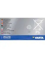 Varta Professional Deep Cycle Instruction Manual preview