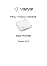 Vayyar V60G-HOME-I User Manual preview