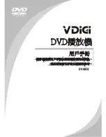 VDigi DV6823 User Manual preview