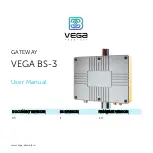 Preview for 1 page of Vega Absolute BS-3 User Manual