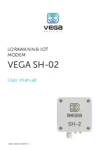 Предварительный просмотр 1 страницы Vega Absolute SH-02 User Manual