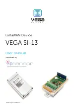 Предварительный просмотр 1 страницы Vega Absolute SI-13 User Manual