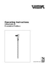 Vega VEGAFLEX 65 Operating Instructions Manual предпросмотр