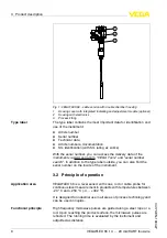 Предварительный просмотр 8 страницы Vega VEGAFLEX 66 Operating Instructions Manual