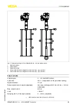 Preview for 45 page of Vega VEGAFLEX 66 Operating Instructions Manual