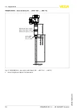 Preview for 54 page of Vega VEGAFLEX 66 Operating Instructions Manual