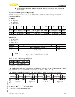 Предварительный просмотр 75 страницы Vega VEGAFLEX 81 Operating Instructions Manual