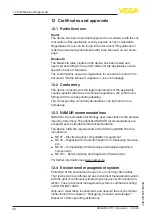 Preview for 46 page of Vega VEGAPLUS C 11 Operating Instructions Manual