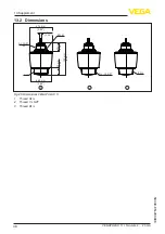 Предварительный просмотр 48 страницы Vega VEGAPULS C 11 Operating Instructions Manual