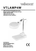 Velleman VTLAMP4W User Manual preview