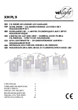 VelLight XMPL9 User Manual preview