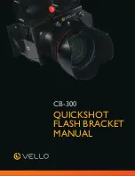 Preview for 1 page of Vello CB-300 User Manual