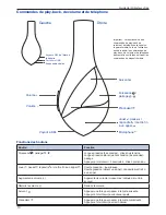 Preview for 16 page of Velodyne vFree User Manual