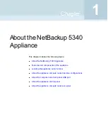 Предварительный просмотр 6 страницы VERITAS NetBackup 5340 Appliance Product Description