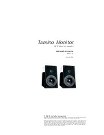 Verity Audio Tamino Owner'S Manual preview