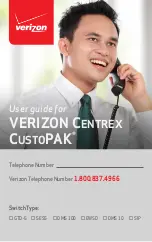 Verizon CENTREX CUSTOPAK Manual preview