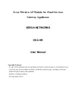 Preview for 1 page of Versa Networks CSG-W1 User Manual