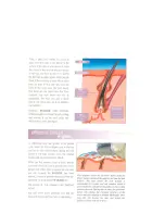 Preview for 4 page of Verseo e-glide Instruction Manual