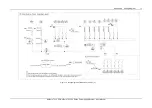 Предварительный просмотр 77 страницы Vertiv Tech NetSure 731 C62 Series User Manual