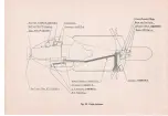 Предварительный просмотр 15 страницы VESPA 152 Operation And Maintenance