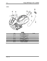 Предварительный просмотр 224 страницы VESPA GTS Super 125 i.e. (2009) Service Manual