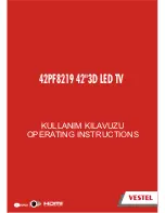 Предварительный просмотр 3 страницы VESTEL 42PF8219 Operating Instructions Manual