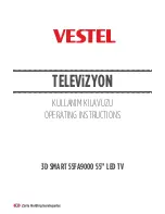 VESTEL 55FA9000 Operating Instructions Manual предпросмотр