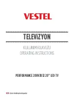 VESTEL PERFORMANCE 20VH3032 Operating Instructions Manual preview